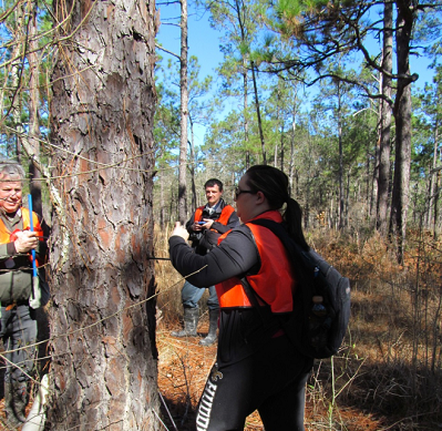 Students and faculty in the field collecting a tree core sample
